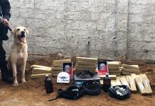 Operação apreende 60kg de maconha no Conde, na PB